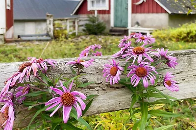 13 persoons vakantie huis in KYRKHULT-By...