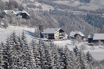 Appartement in Afritz bij skigebieden