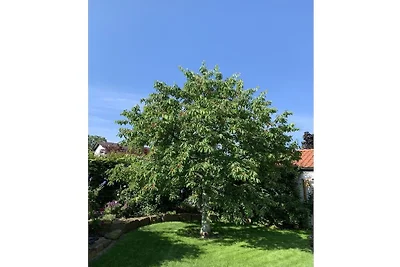 Vakantieappartement met 1 slaapkamer