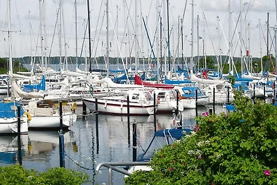 Mühle in Medelby