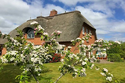 Objekt 29 || Nieblum