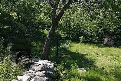 One Bedroom Apartment with Terrace
