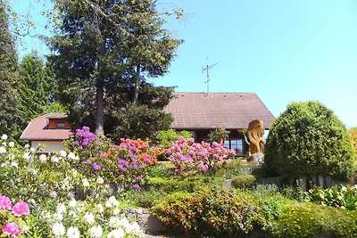 Appartamento a Gütenbach con foresta vicina
