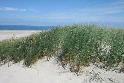 Ferienwohnung in Juist mit Schwimmbecken