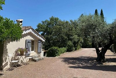 Geräumige Villa in Flayosc mit privatem Pool