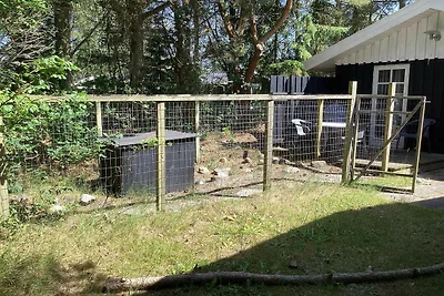 6 Personen Ferienhaus in Hals