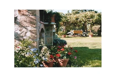 Casa B Poggio dell'Olivo