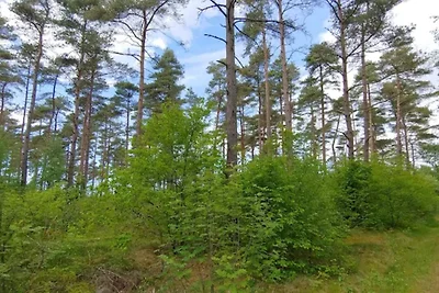 4 Personen Ferienhaus in Oksbøl-By Traum