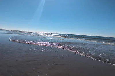 6 Personen Ferienhaus in Blåvand