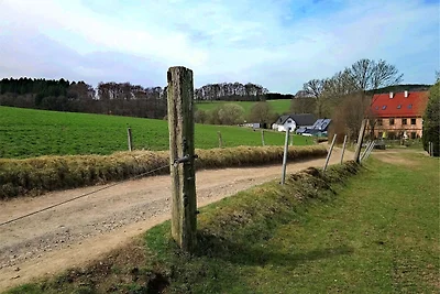 Appartamento in una fattoria di alpaca a...