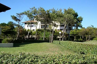 Vakantieappartement SP3