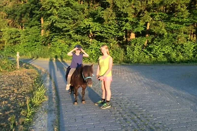 Ferienhof Hohe Drei Zinnen