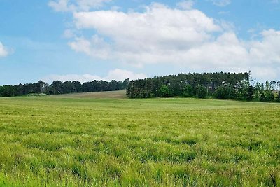 4 Personen Ferienhaus in Hundested