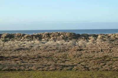 Objekt 38 || Nieblum