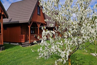 Vakantiehuizen met gedeeld zwembad, Kolczewo