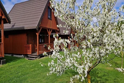 Ferienhaus in Kolczewo mit Pool