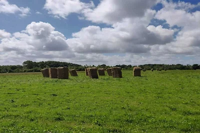 5 persone case ad Roslev-By Traum