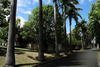 Studio für 3 Personen