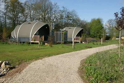 Prachtige tentlodge in Dalerveen met een...