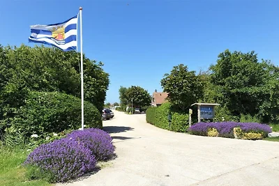Vakantiehuis in Domburg met zwembad