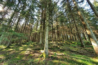 Geräumiges Ferienhaus in Hoor