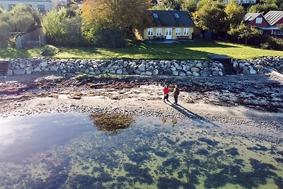 Küstencharme in Aabenraa