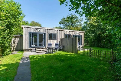 Chalet auf Texel nahe Strand und Wald
