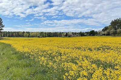 5 persoons vakantie huis in LIDKÖPING