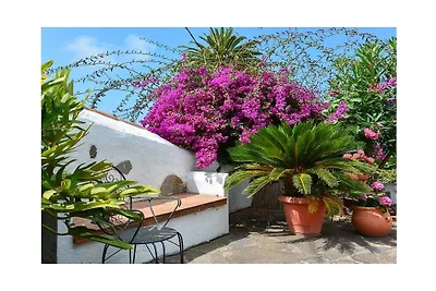 Joyau au paradis || La Victoria de Acentejo