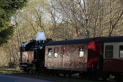 Doppelhaushälfte in Hasselfelde