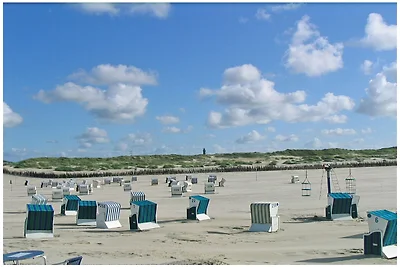Alte Druckerei Ferienwohnung Bodoni
