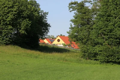 Stelzenmühle Reichelsburgblick