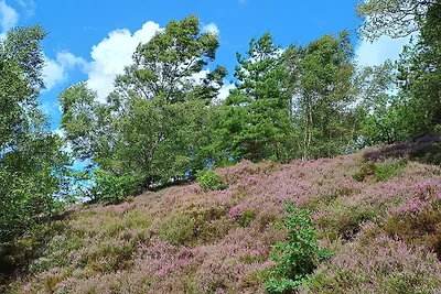 8 persone case ad Gjern