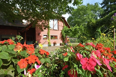 Ferienwohnung auf dem Lande mit Garten