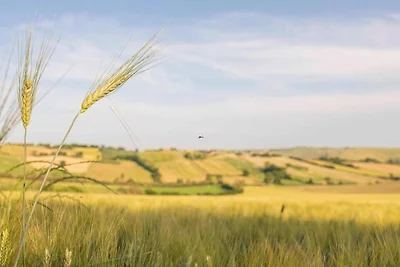 Ruhiger Rückzugsort mit Blick auf das Tal