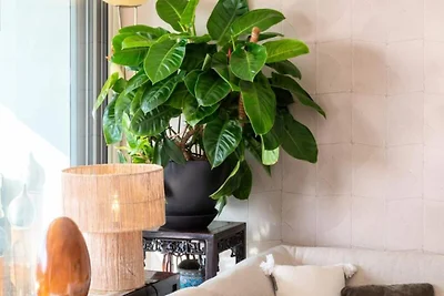 Wohnung in Cannes mit Meerblick