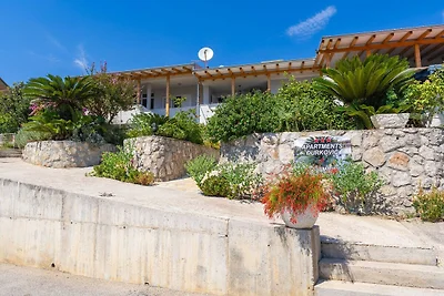 Apartments Djurkovic - Deluxe One-Bedroom Apa...