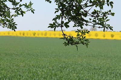 Geräumige Ferienwohnung in Boddin mit Garten