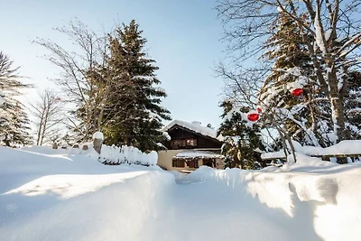 Chalet Hafling  Zoila