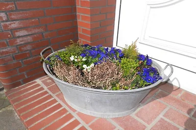 Westwind - Haus Romantik