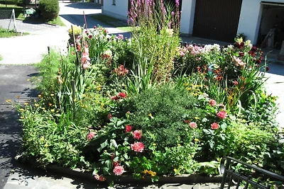 Ferienhaus in Ebensee mit Schwimmbecken