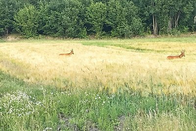 4 Personen Ferienhaus in HÄLLEVADSHOLM