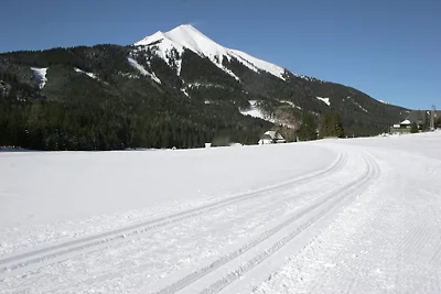 Holzchalet in Hohentauern nahe Skigebiet