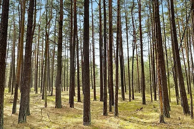 6 persoons vakantie huis in YNGSJÖ-By Traum