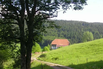 Rutscherhof Residenza di vacanza confortevole