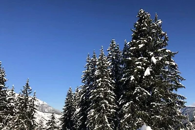 Apartment in Crève-Coeur mit Ski-Zugang