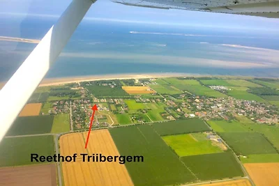 Reethof Triibergem