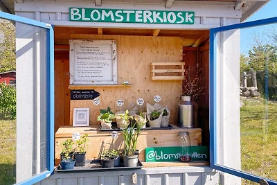 Vakantiehuis Ontspannende vakantie Borgholm