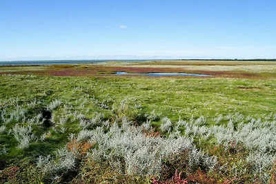 6 Personen Ferienhaus in Læsø
