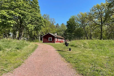 6 Personen Ferienhaus in ROCKNEBY